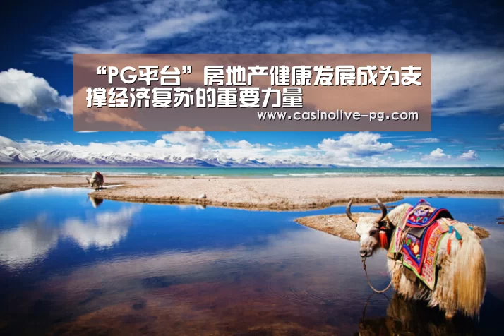 PG下载